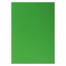 Кардсток однотонный "Ярко-зеленый" 21х29.7 см, , 160 г/м2