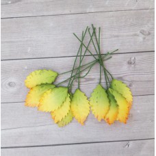 Листья желто-зеленые с оранжевым краем 2,2х1,2 см., 10 шт. 